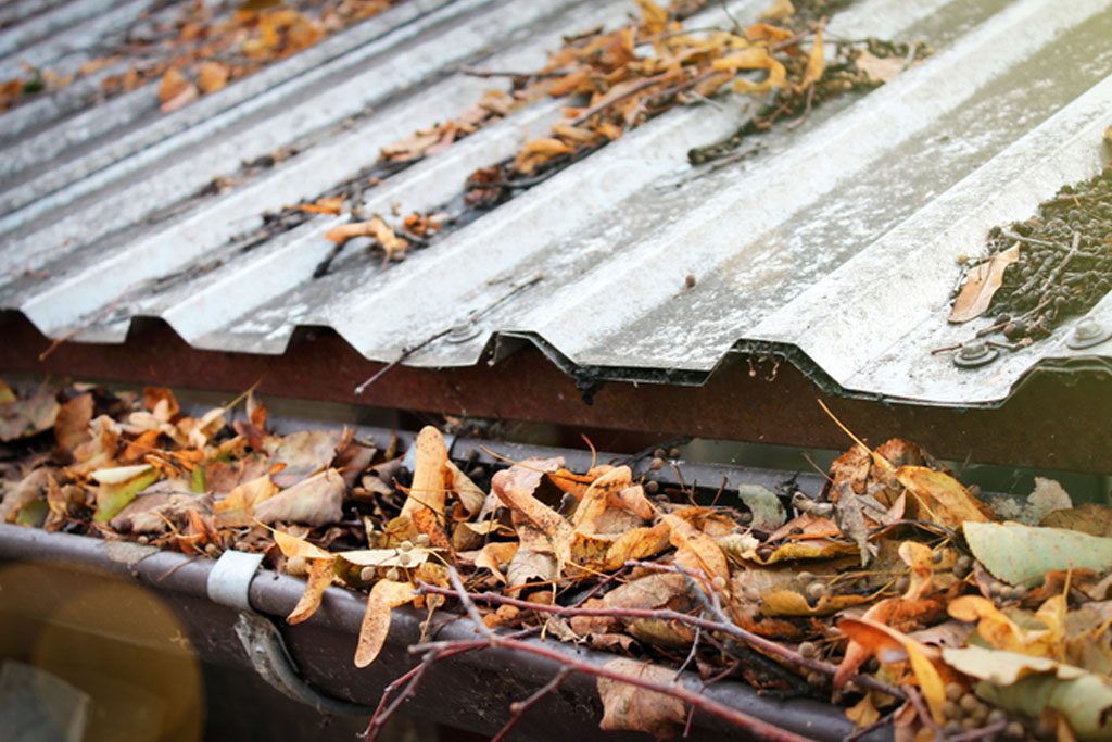 Gutter and roof cleaning Gutter and roof cleaning